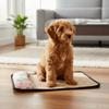 Rattan Weave Pet Cooling Mat Breathable Cat Cooling Pad Waterproof Dogs Floor Cushion  Outdoor