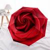 1 PC Automatic Folding Umbrella -Slices of plantsPattern,Portable & Foldable Design with 8 Ribs,Christmas Birthday Gifts