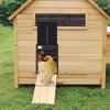 Extra Long Battery Life Solar Chicken Coop Door with Remote Control & Timer - Aluminum Alloy Construction
