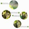 Self-Adhesive Pe Grafting Tape Film Stretchable Garden Tree Plants Seedlings Vine Tomato Grafting Accessories