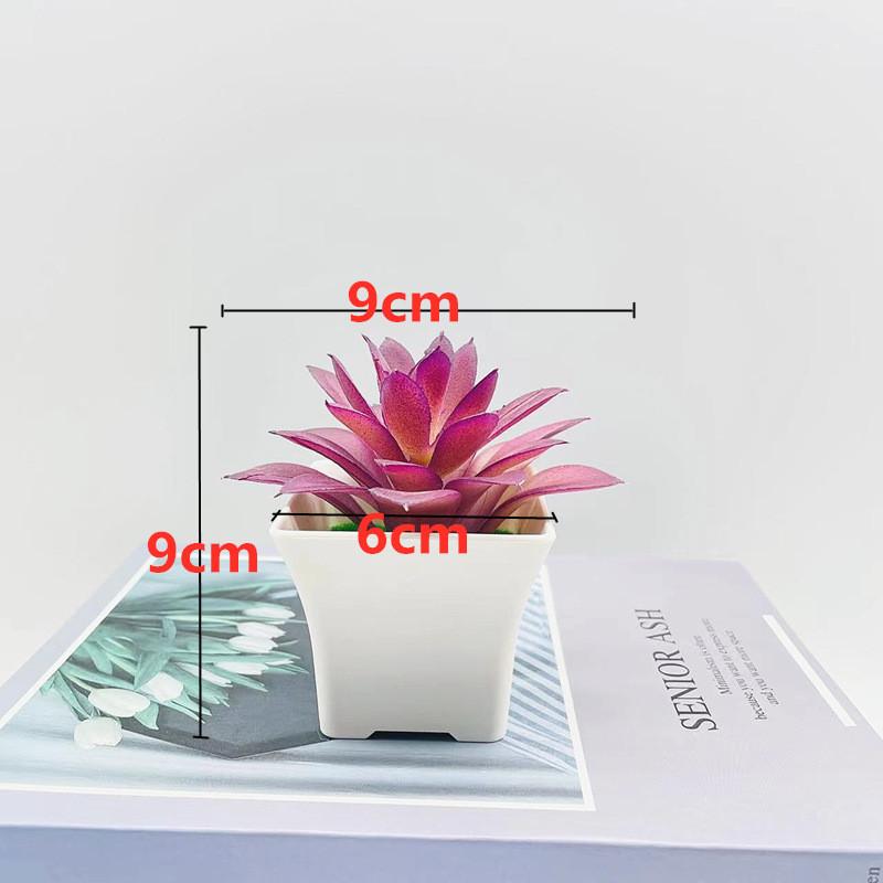 Simulation Crassula Muscosa Echeveria Laui Succulent Plant Bonsai Artificial