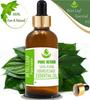 Pure Herbs Foglia di Betel 100% Puro e Naturale Olio Essenziale di Piper Betle ZA 230