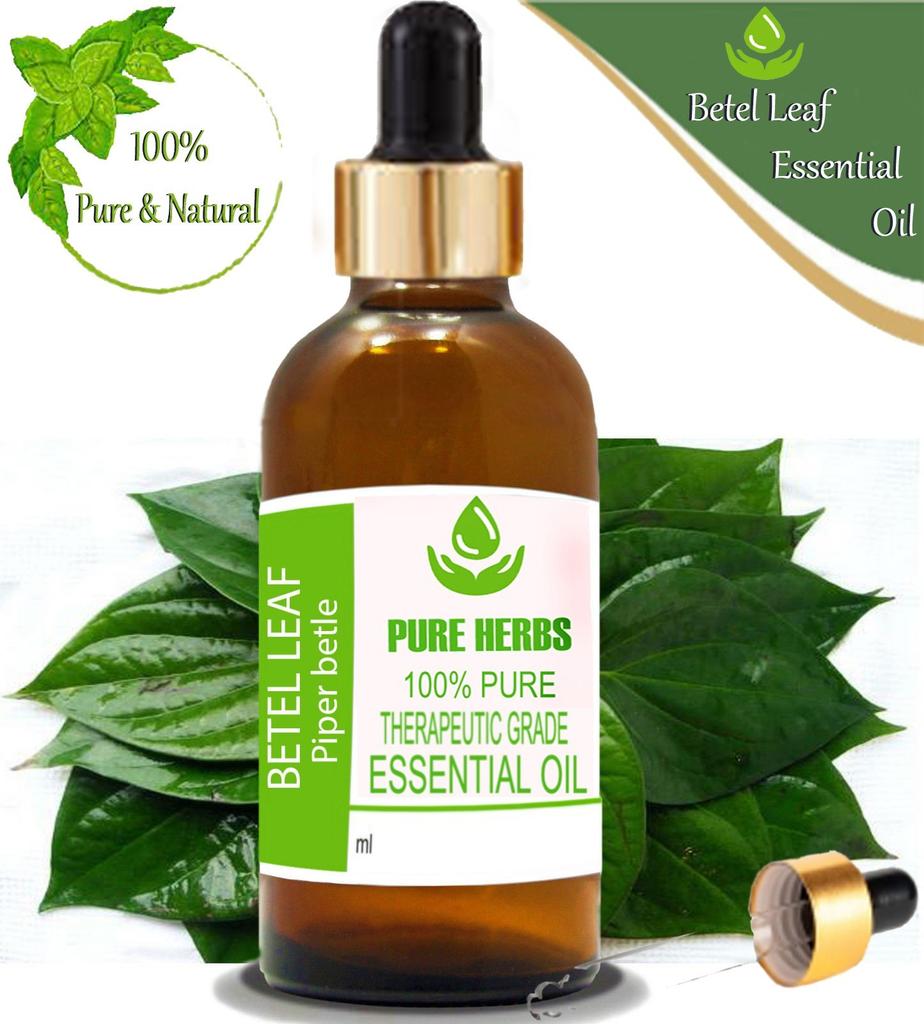 Pure Herbs Foglia di Betel 100% Puro e Naturale Olio Essenziale di Piper Betle ZA 230