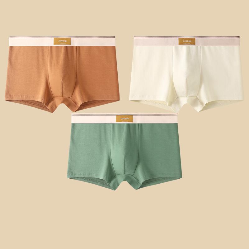 Herren Unterwäsche Hombre Slips Boxershorts Bequeme Atmungsaktive Baumwollunterwäsche Sexy Unterwäsche Einfarbige Boxershorts