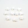 ECF5017 10 Pieces Headlight Headlamps Repair Clip 7701057429 for Renault Kangoo Master Trafic Vivaro PriMastar