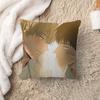 The Shape of Sympathy Bl Anime Pillow Cover Design Cushion Cover Decor Holiday Decorati