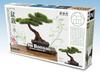 PLATZ The Bonsai II Plastic Model 1/12 BON-02