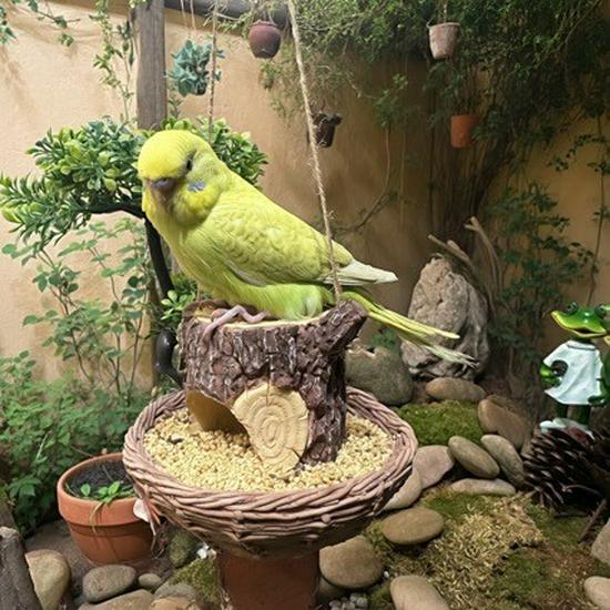 Wicker Resin Birdhouse Feeder: Outdoor Garden Decorative Ornament