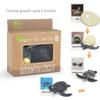Toys Model Educational Simulated Animal Card Set Insect Plant Growth Cycle Cognitive Montessori Parish Home Open Learning Kids