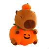 Capybara Plush Decor, Cute Stuffed Animal with Pumpkin Body for Boys Girls, Teens