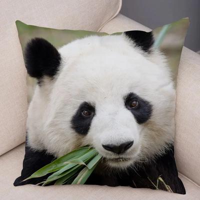 Kissenbezug mit Panda-Motiv, Motiv: „Nationaler Schatz Chinas“, geeignet als Heimdekoration für Wohnzimmer, Sofa, Schlafzimmer, Zimmer
