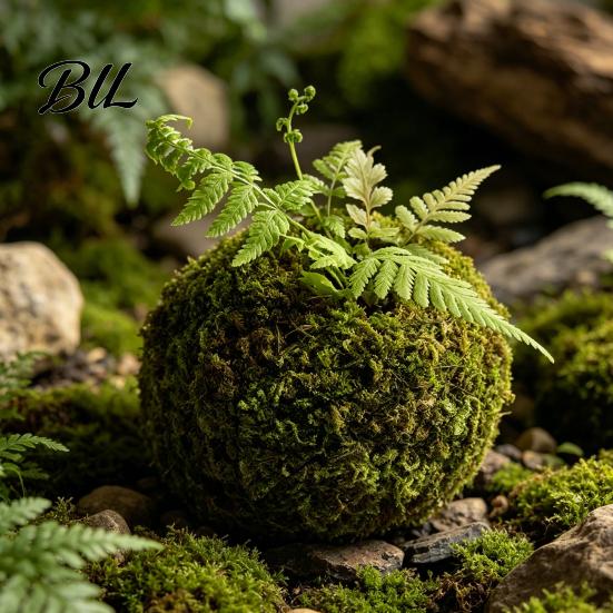 Humidity Maintaining Planter Moss Ball Flower Pot, Natural Green Bonsai Plant Holder, Decorative Spherical Pot for Home, Garden, Wedding Party