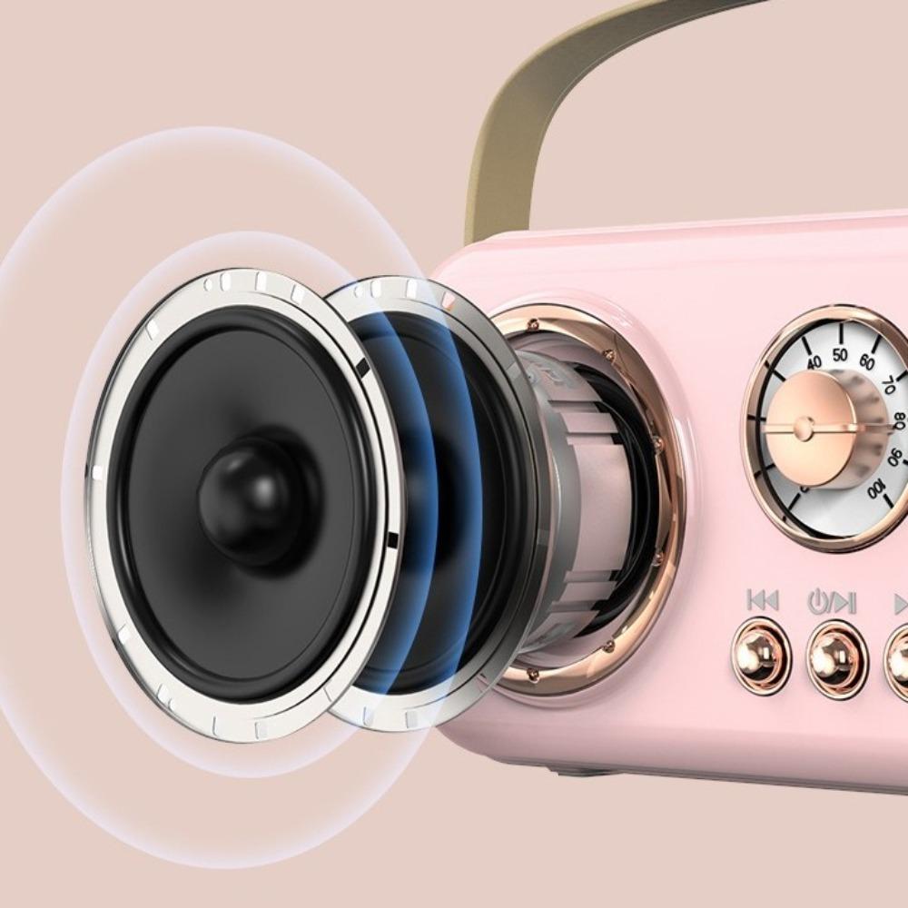 Card Subwoofer Bluetooth Speaker Mini Karaoke Machine Karaoke Bluetooth Speaker Children's Gift