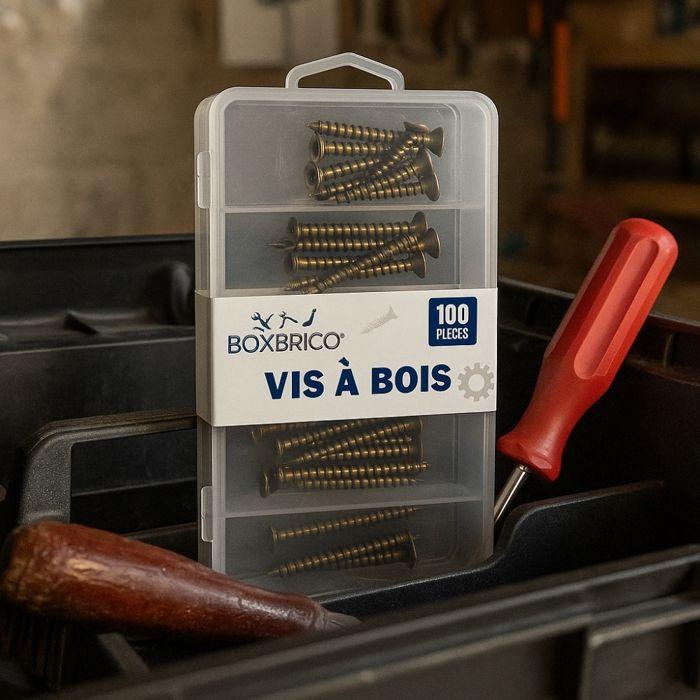 Wood Screws - BOXBRICO - Set of 100 - 5 Sizes - Solid Steel - Countersunk Head