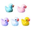 50 Stück Bunte Mini-Harz-Enten Mini-Figuren für Landschaft Mini-Enten Mikro-Feen Gartenlandschaft Puppenhaus Dekorationen