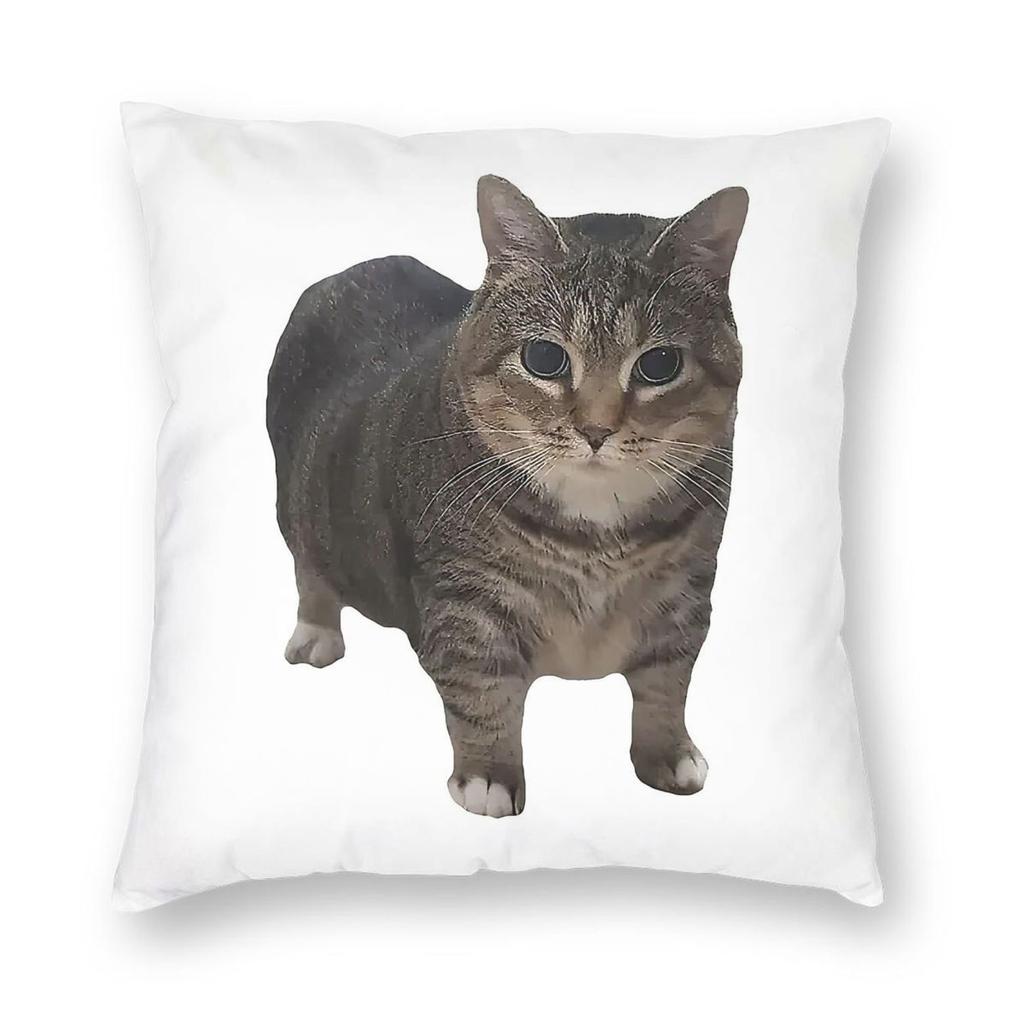 Spinning Cat Maxwell Die Katze Kissenbezug Polyester Leinen Samt Muster Reißverschluss Dekoration Bettkissenbezug