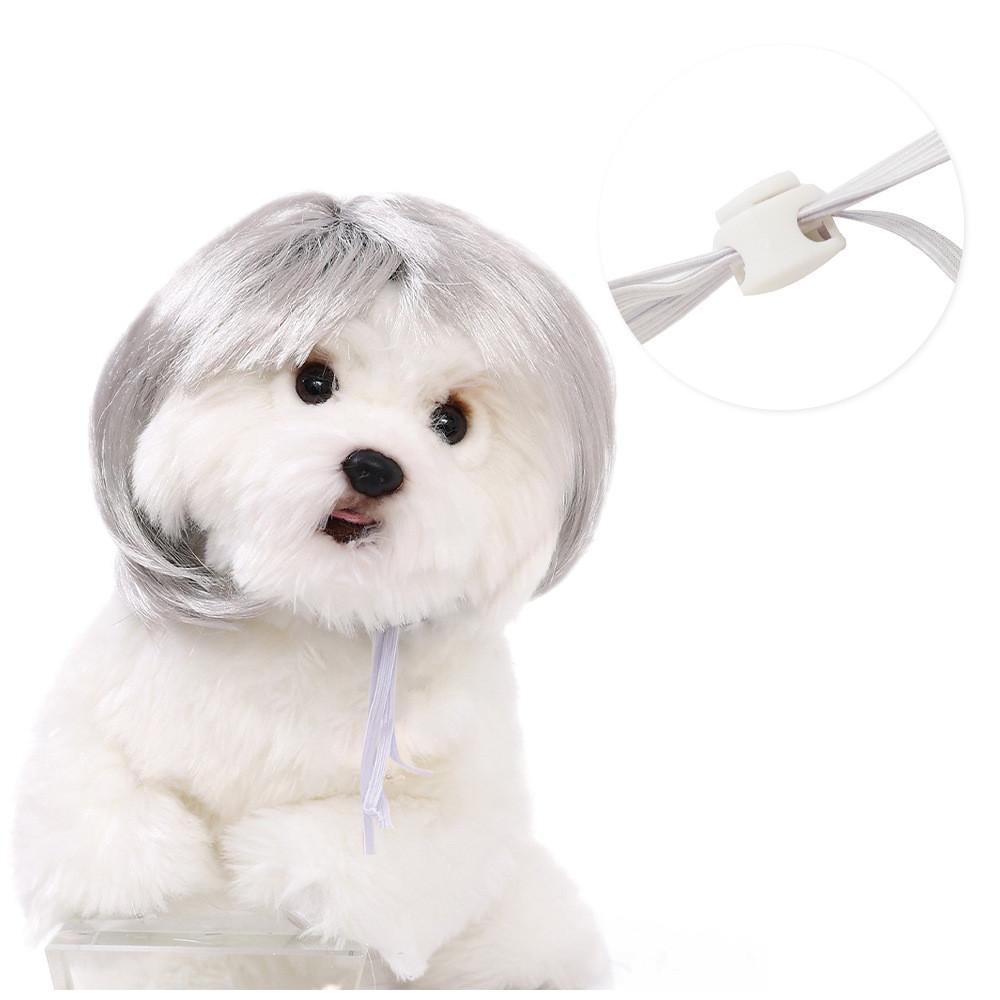 Are 10 Here Suggested Titles For The Pet Wig Product Based On The Information Provided