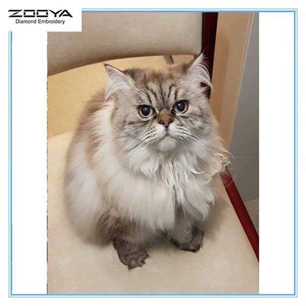 

ZOOYA DIY 3D Алмазная вышивка крестиком домашний декор кошка