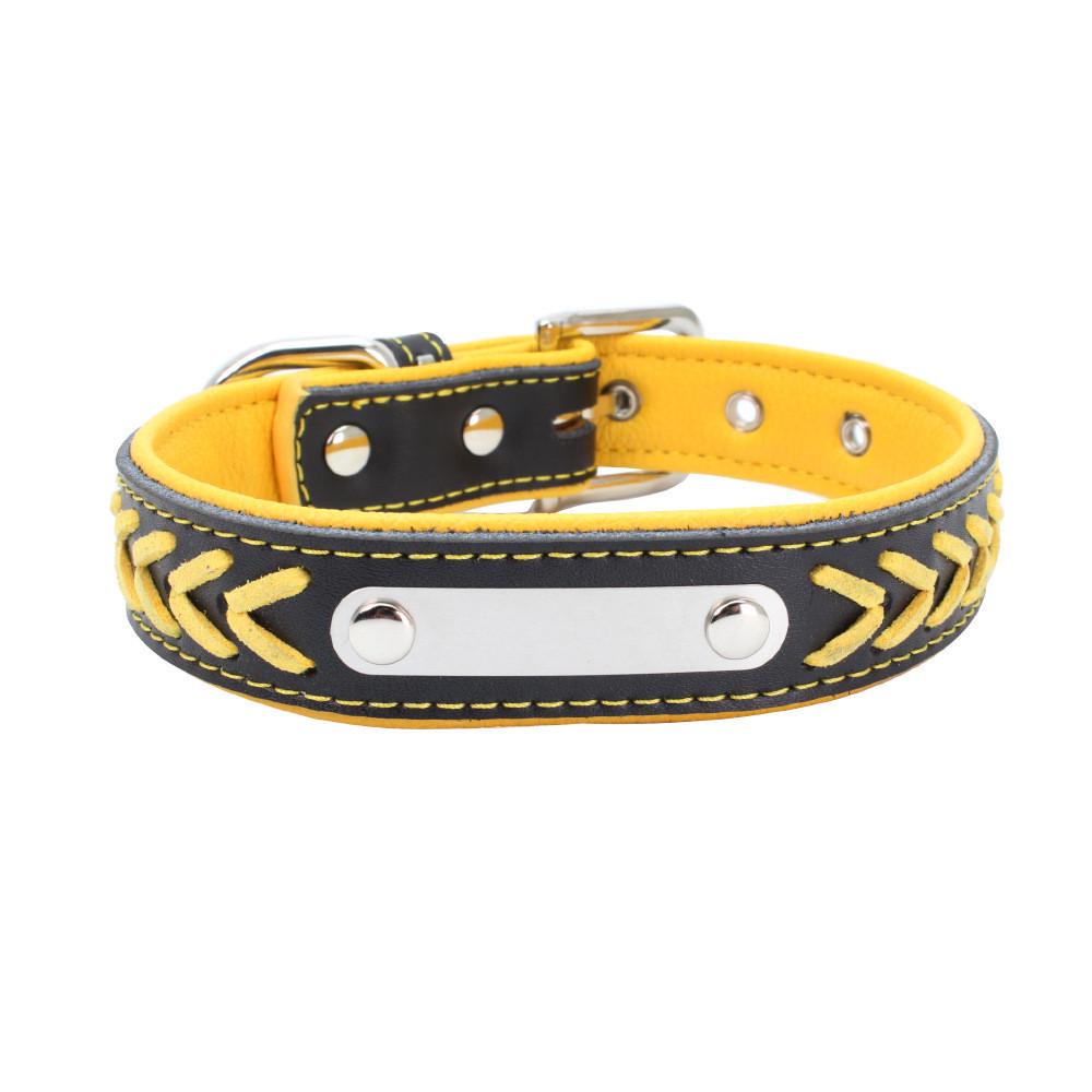 dog belts with name