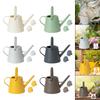 1 Gallon Watering Can for Indoor Plants, Portable, Convenient, Thick, Versatile, with Sprinkler Head