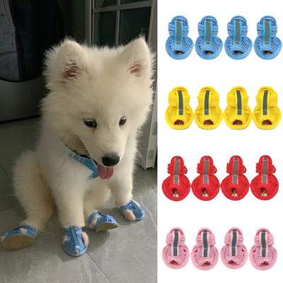 Roupa e sapatos – Sapatos para cães