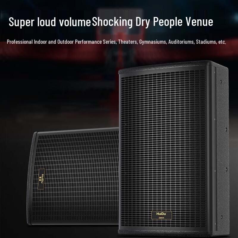 HuiDu ST-12CF Professional Stage Monitor Speaker