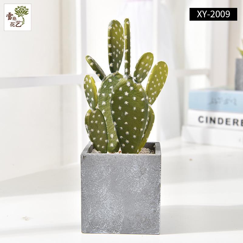 Simulatie huisdecoratie balkon vloersieraad kunstplant simulatie cactus potplant