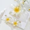 3Pcs/Set Hair Accessories Ponytail Clip Gradient Hairpin Plumeria Hawaiian Headwear  Beach