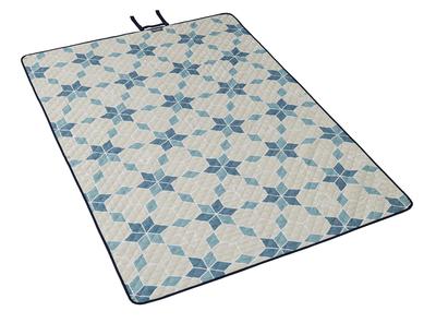 COLEMAN Esteira de piquenique 200 x 145 (Cristal) 2000038940