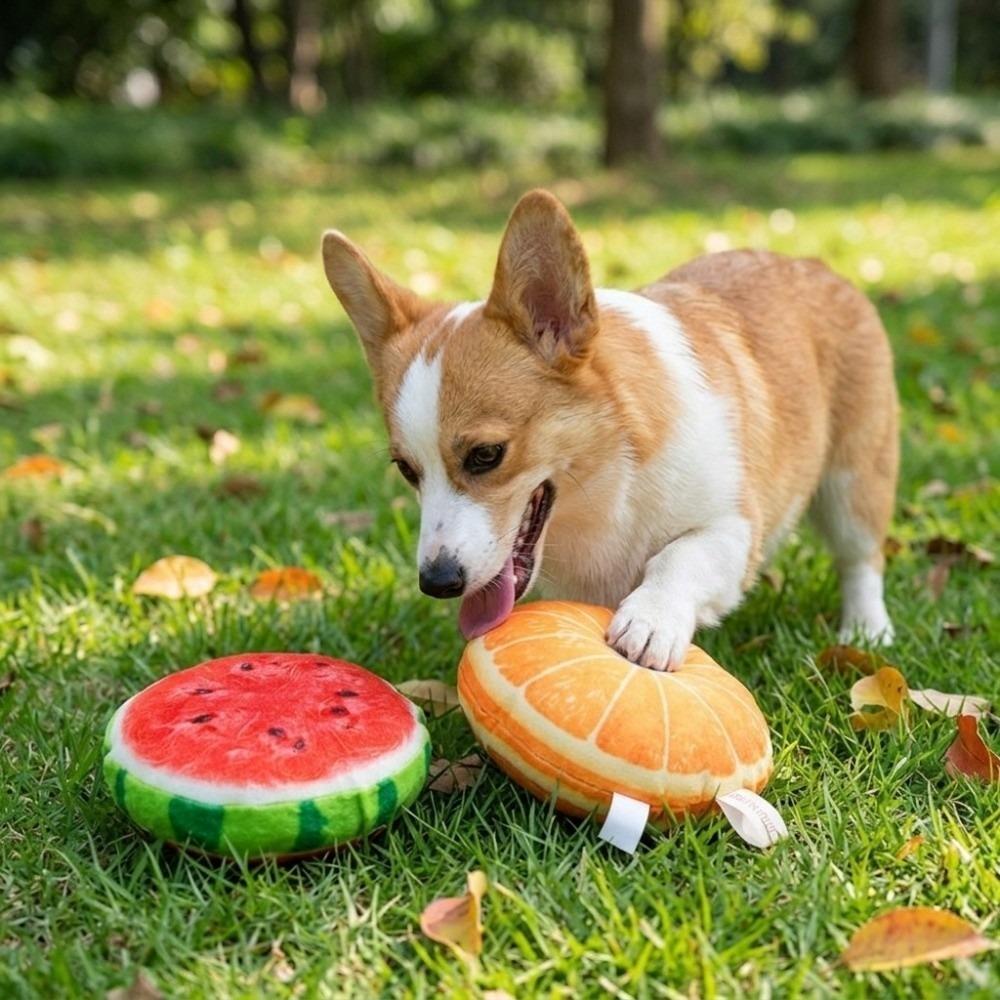 Cartoon Fruit Shape Squeaky Dog Toy Soft Plush Fabric Dog Molar Toy  Daily Teeth Grinding Orange Plush Dog Toy