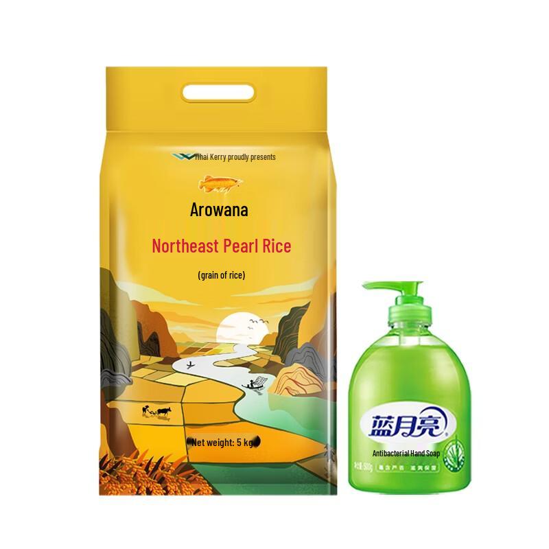 Household Essentials Bundle: Aloe Hand Wash & Pearl Rice