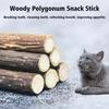 5Pcs Catnip Sticks Pet Cat Molar Toys Natural Wood Polygonum Kitten Teeth Cleaning Chew Toy Cat Snacks Sticks Pet Supplies