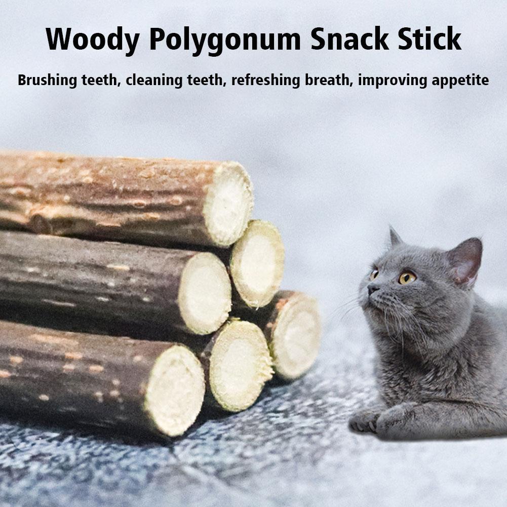 5Pcs Catnip Sticks Pet Cat Molar Toys Natural Wood Polygonum Kitten Teeth Cleaning Chew Toy Cat Snacks Sticks Pet Supplies