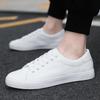 2 Spring new large-size special new men's shoes four-season fashion versatile soft-soled white shoes