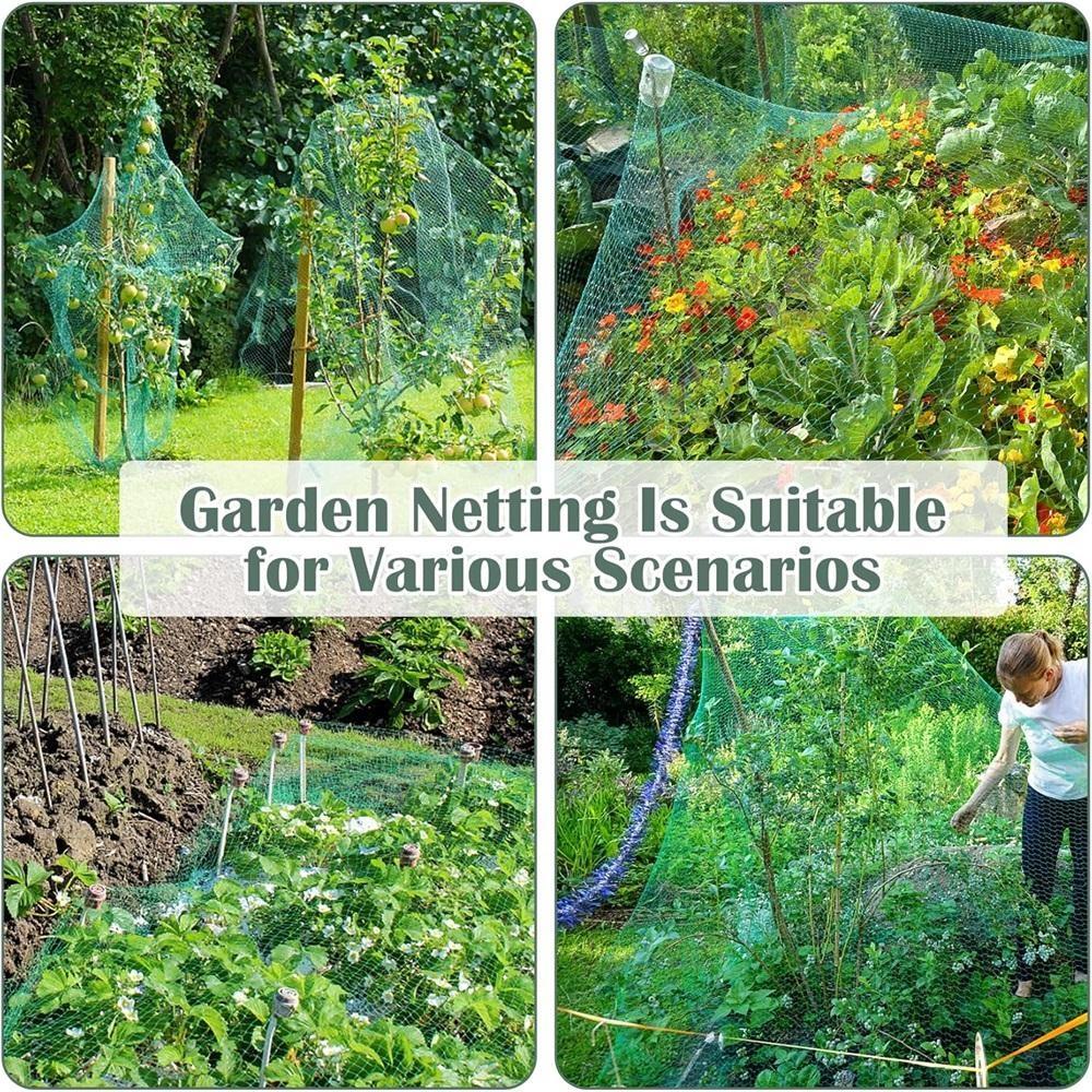 Grünes Vogelnetz – Strapazierfähiges Gartennnetz zum Schutz von Pflanzen & Obstbäumen – UV- & Frostschutz, Wiederverwendbar – Verschiedene Größen erhältlich