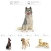 Animal Model Puppets Pvc Realistic Dog Figures For Childrens Educational And Creative Activities