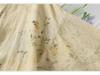 Women's Retro Chinese Style Long Sleeve Linen Shirt with Pan Kou Design