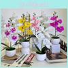 Artificial Basin Phalaenopsis Potted Plant For Home Office Wedding Decoration