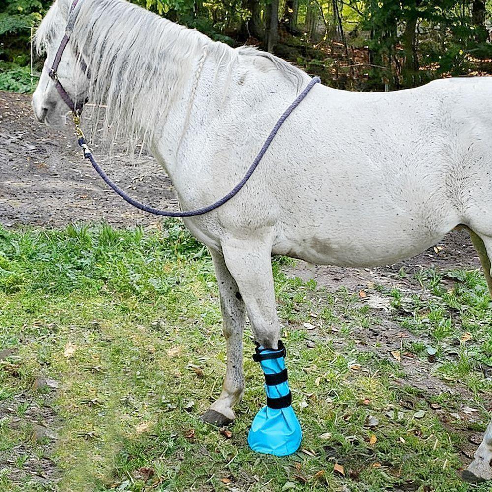 Easy Use Design Hoof Soaking Boot EVA Pad Equine Soaking Boot Hooves Care Treatment  Abscess Care