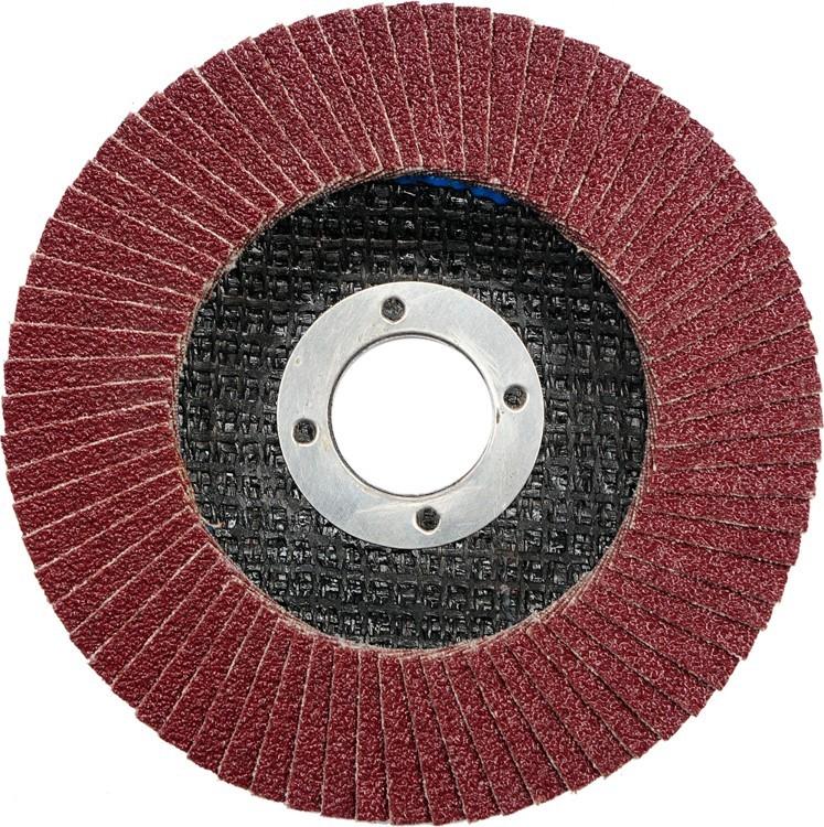 Flap disc grinding wheel p80 115 mm 07976 VOREL