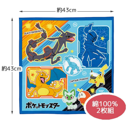 Skater Lunch Box Lunch Cross for Children Set of 2 Pokemon 24 Boys KB4WN