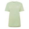 Womens/Ladies Crew Neck Oversized T-Shirt