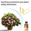 Plant Nutrient Solution 50ml Liquid Fertilizer Promote Root Growth Propagation Plant Bloom Booster for Water And Soil Propagation Flowers Fruit Plants