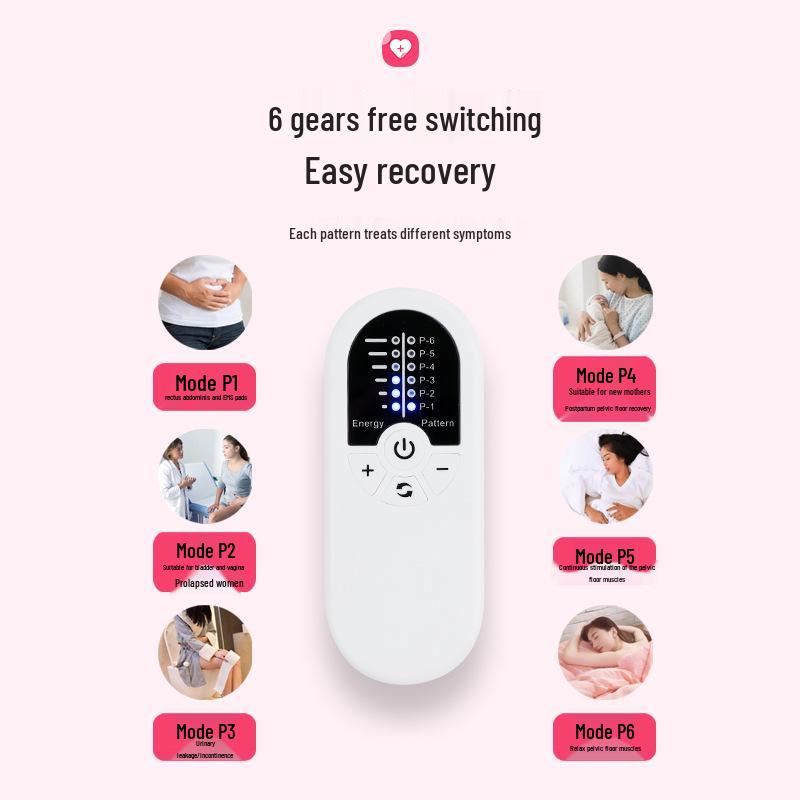 Portable Multifunctional Pelvic Floor and Abdominal Muscle Repair Device for Postpartum Recovery