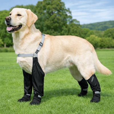 Schmutzabweisende Hunderegenhose Wasserdichte Welpen-Schuhüberzüge Weiche Sohle Hundefußabdeckungen Outdoor-Bekleidung