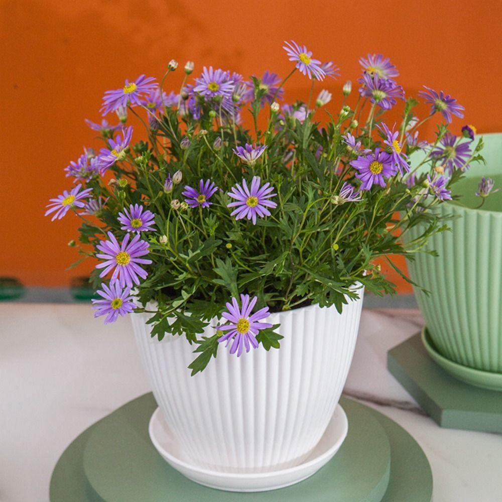 Resin Flower Pot With Tray Plant Container Durable Vase  Succulent Rose