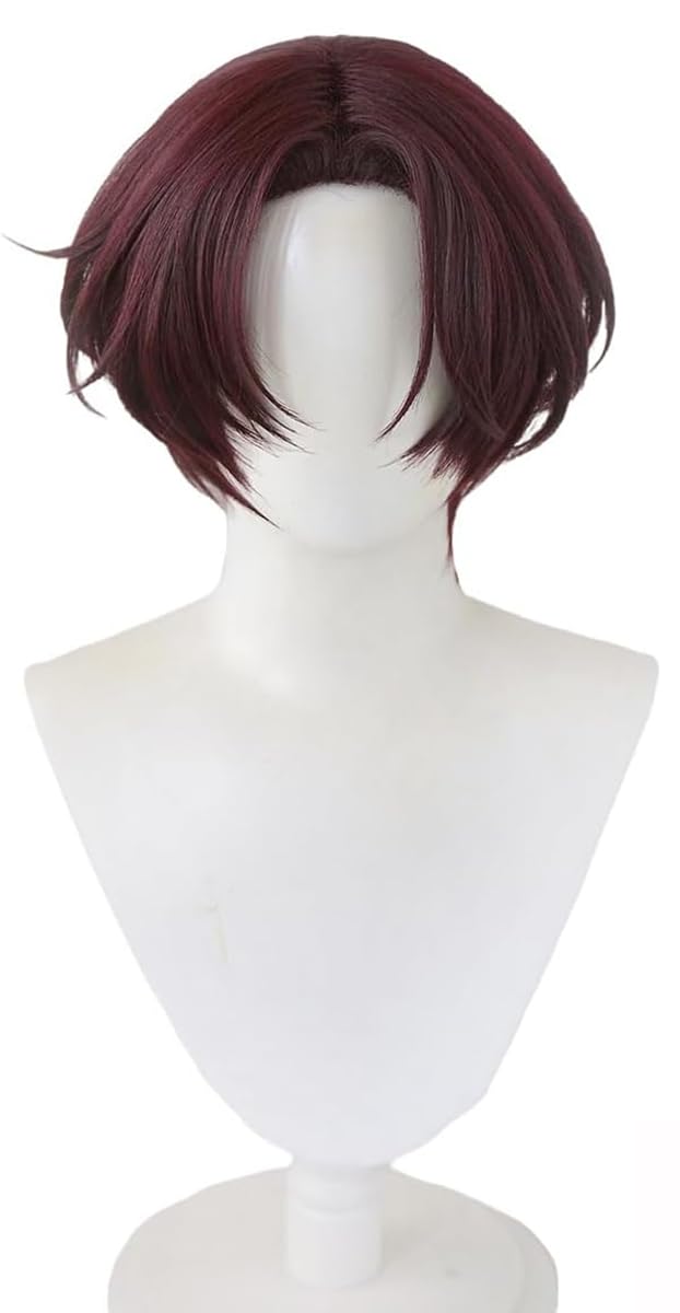 

SCLYX ВЕТРОВКА Косплей-парик, термостойкий, для Су Фан Фэн, #23082 (Су Фан Фэн Фэн)