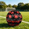 1pc Moonlit Reflection Theme Soccer Ball Football, Size 5, Lightweight PVC, Durable Outdoor Training Soccer Ball, Gift M61428