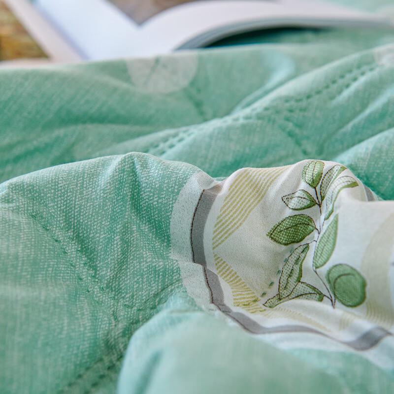 Zmn Mint Cooling Summer Quilt