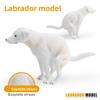 Labrador Retriever Dog Model Pvc Sculpture For Kids Gift And Animal Enthusiast Collectors
